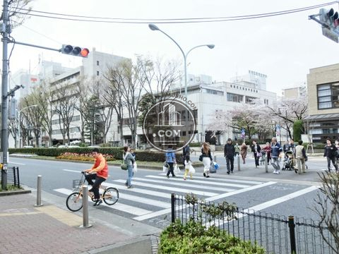 大通り