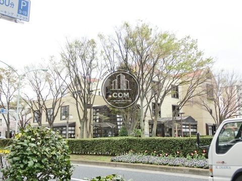 大通り
