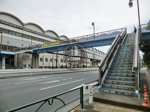 大通り