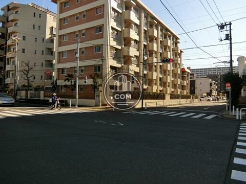 大通り