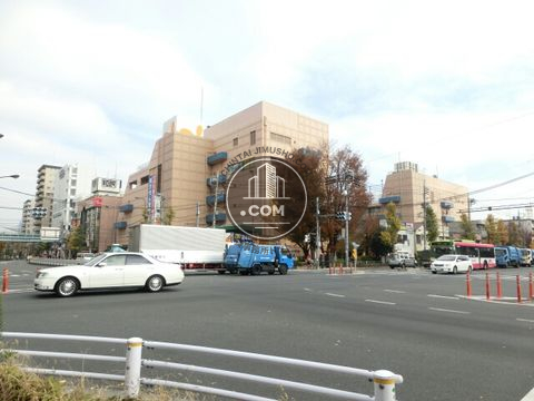 大通り