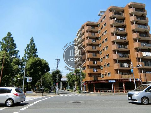 大通り