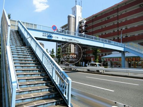 大通り