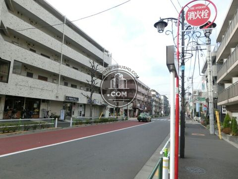 大通り
