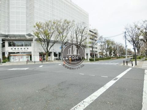 大通り