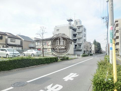 大通り