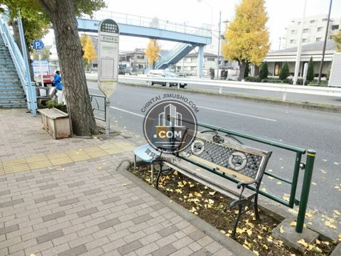 大通り