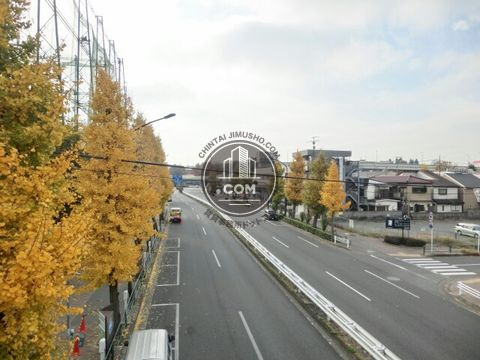 大通り