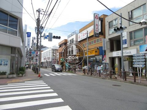 大通り