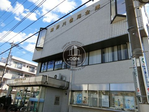 大通り
