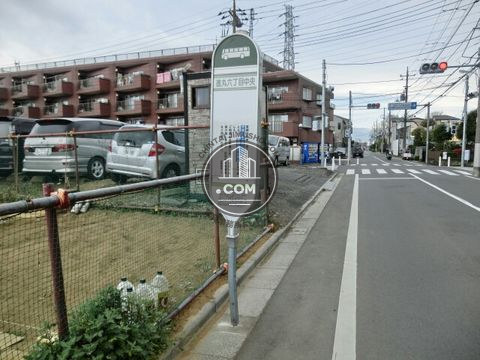 大通り