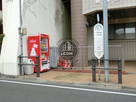 大通り