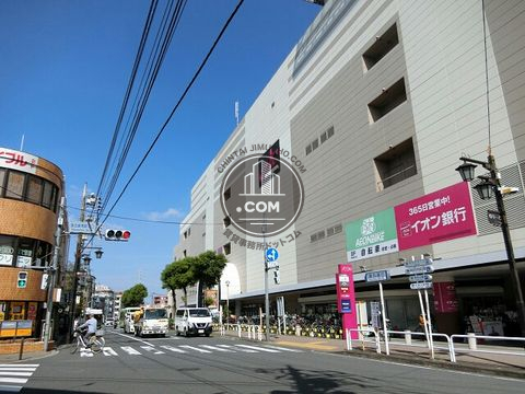大通り