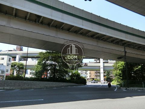 大通り