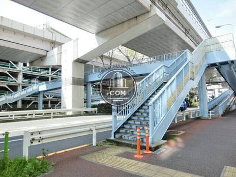 大通り