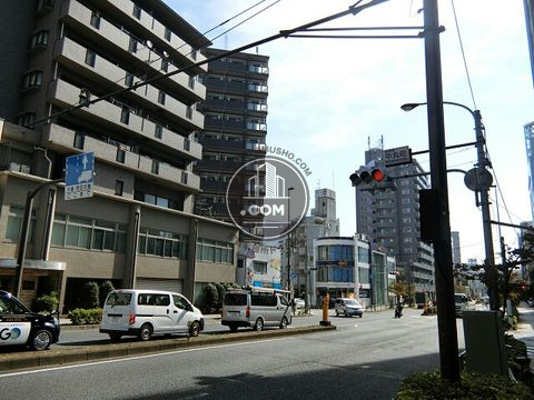 大通り