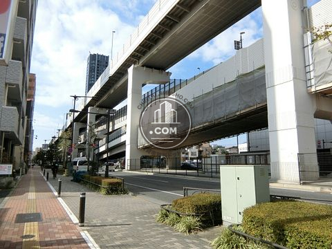 大通り
