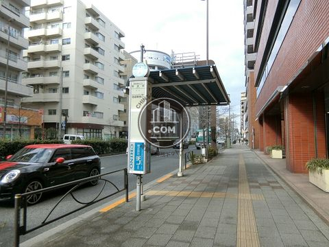 大通り