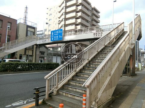 大通り