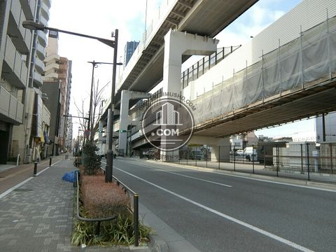 大通り