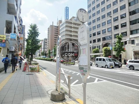 大通り