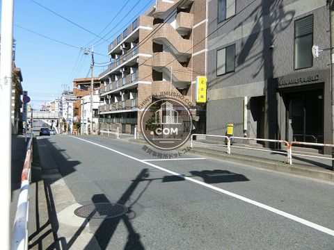 大通り