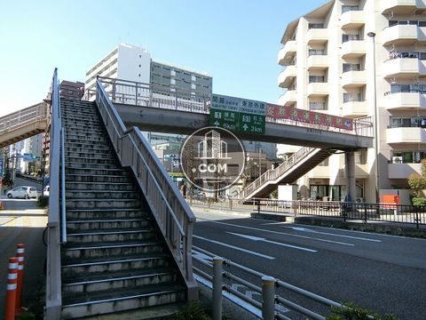 大通り