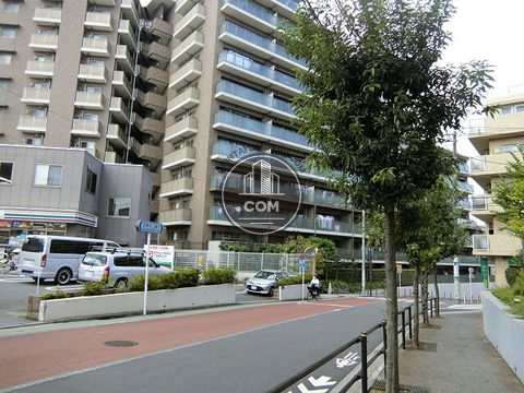 大通り