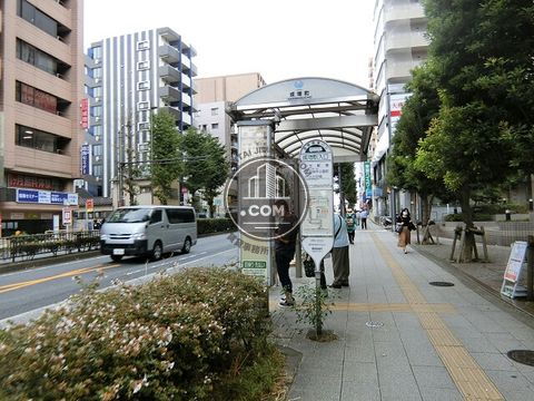 大通り