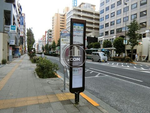 大通り