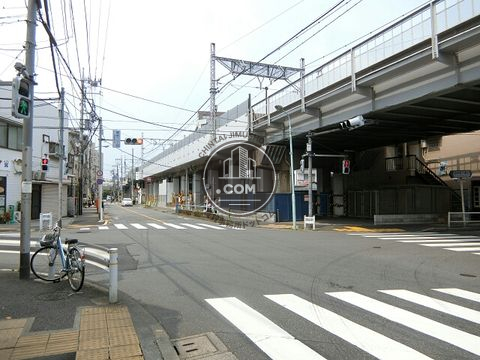 大通り
