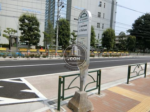 大通り