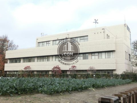 大通り