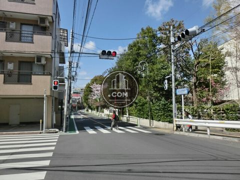 大通り