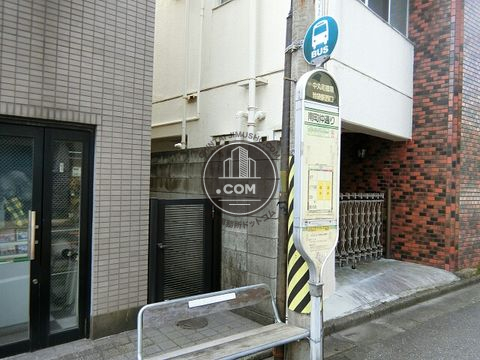 大通り