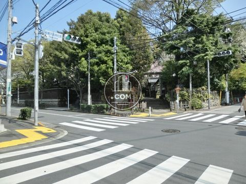 大通り