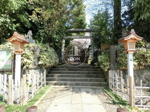大通り