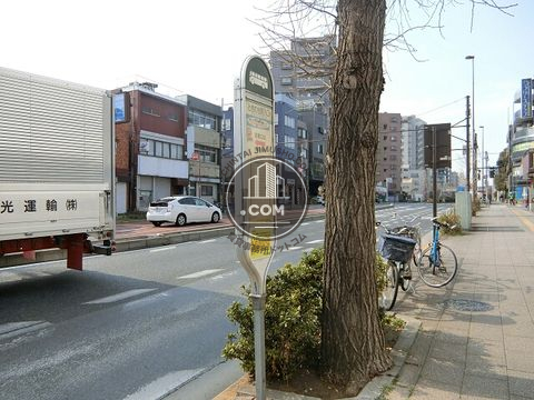 大通り
