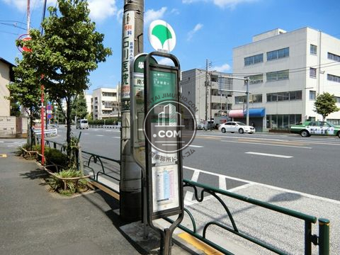 大通り