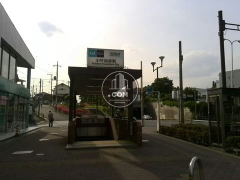 駅周辺