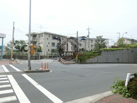 大通り