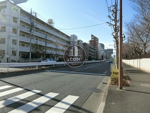 大通り