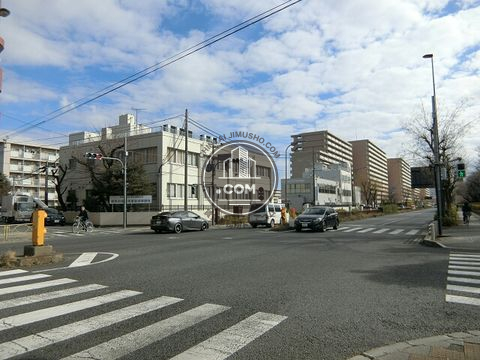 大通り