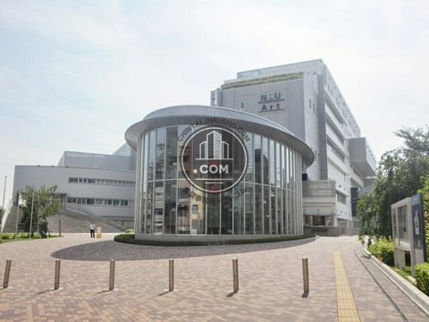 大通り