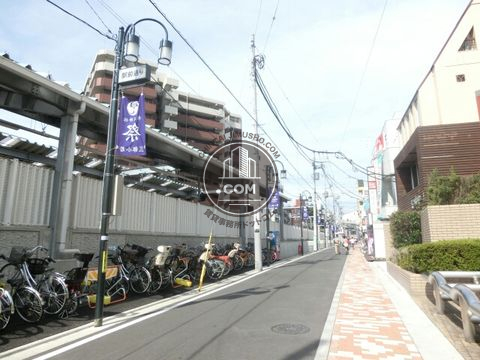 大通り