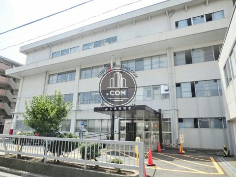 大通り