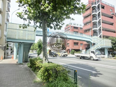 大通り