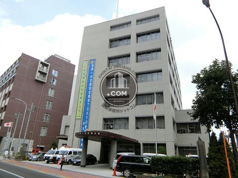 大通り