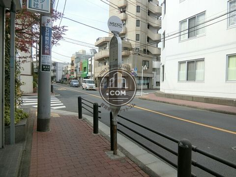 大通り