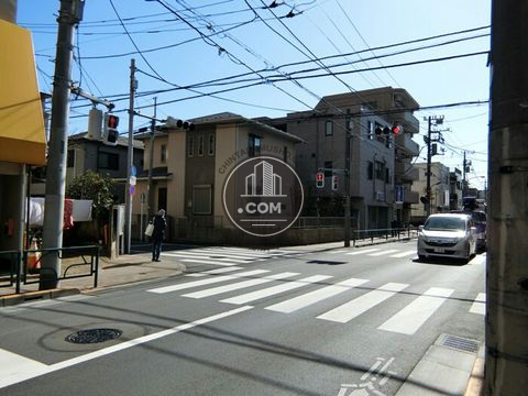 大通り